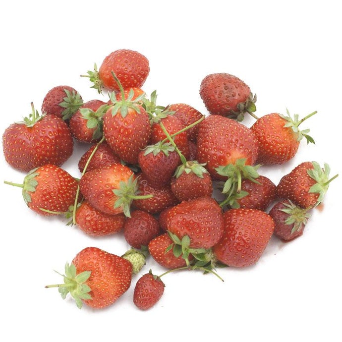 Allstar Strawberry Plants (Bundle of Approximately 25)