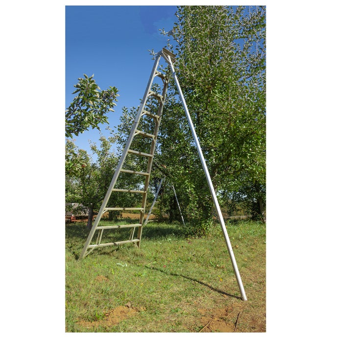 Aluminum Orchard Ladder (8')