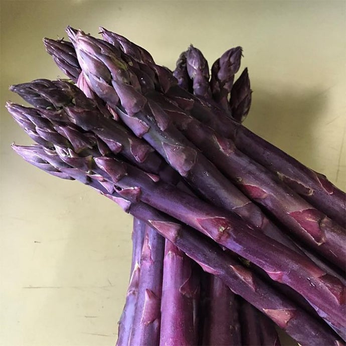 Asparagus Sweet Purple (Bundle of 10)