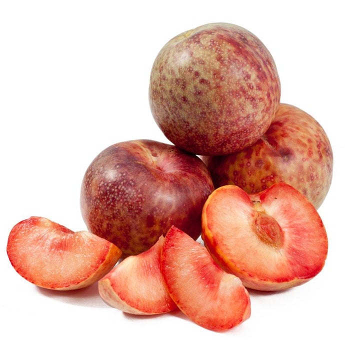 Dapple Dandy Pluot Tree (Semi-dwarf)