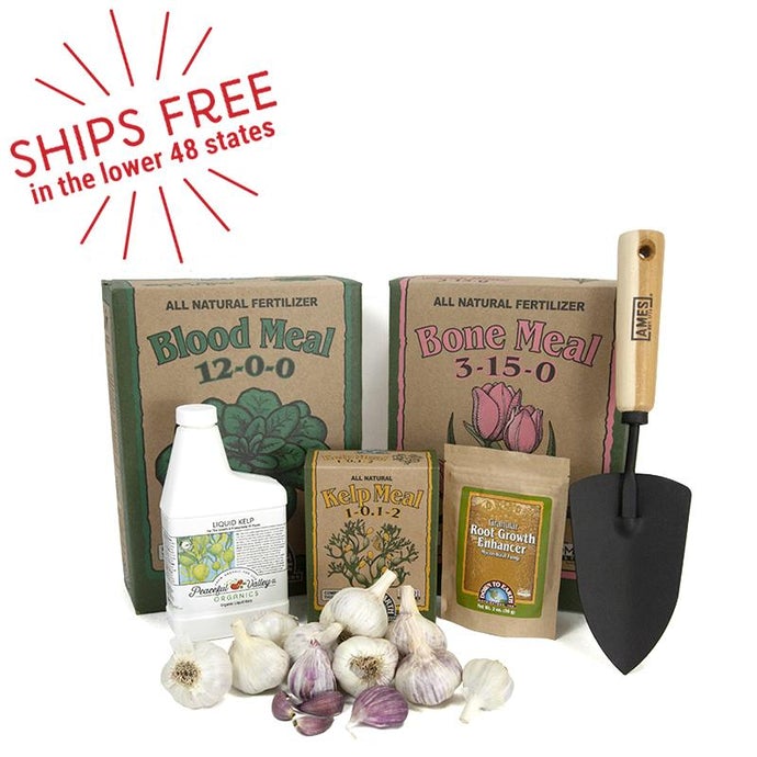 Down to Earth Organic Garlic Growing Kit