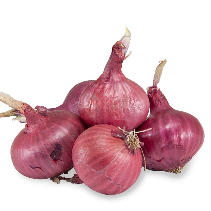 Onion Sets - Red Karmen