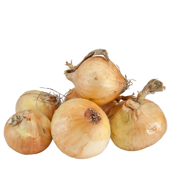 Onion Sets - Yellow Stuttgarter (Pack of 75)