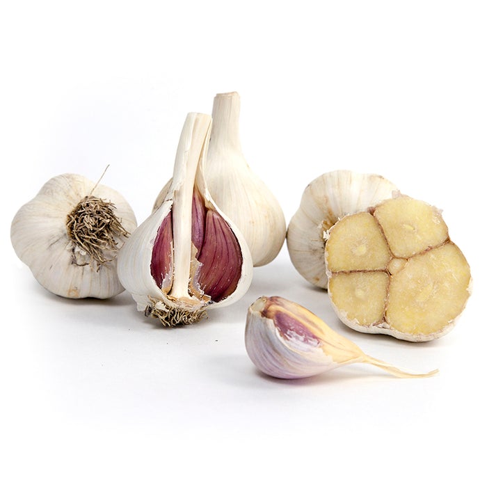 Organic Garlic, Music (lb)