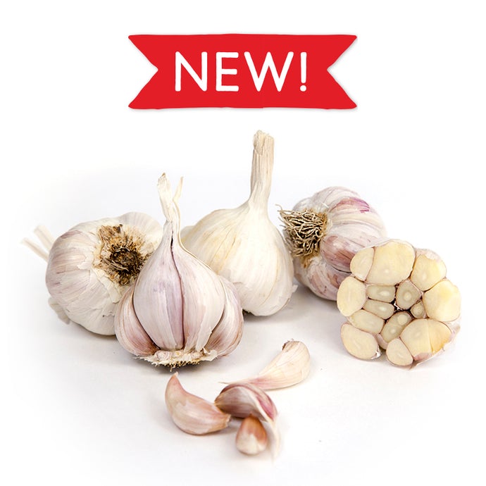 Sonoran Garlic new for 2021