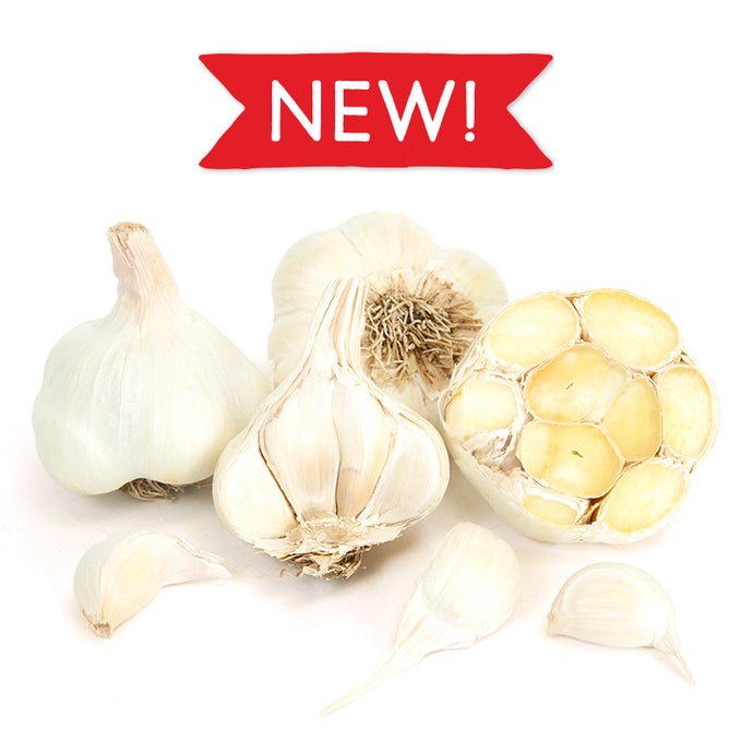 Sicilian Garlic new for 2021