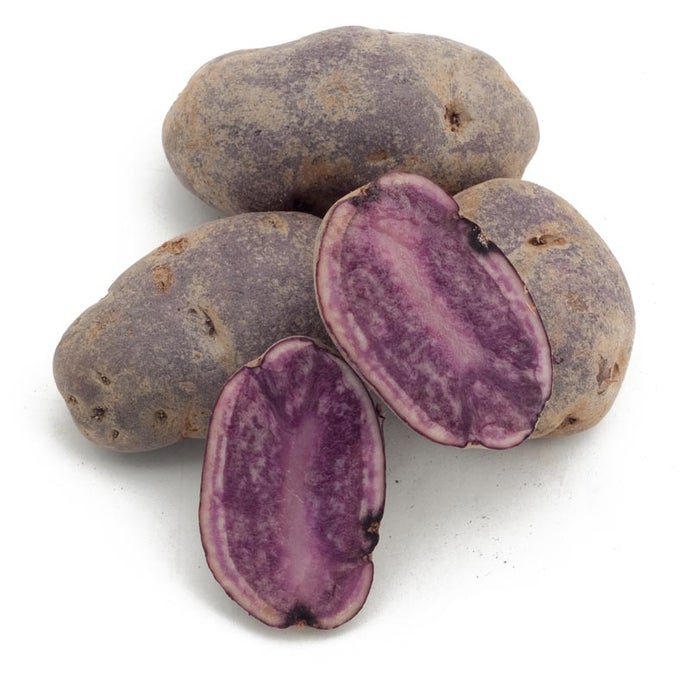 Organic All Blue Seed Potatoes (lb)