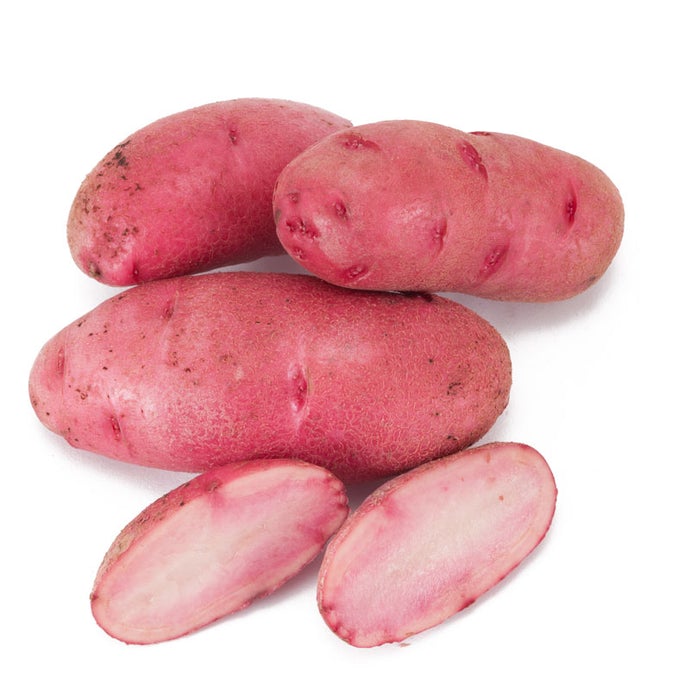 Organic Red Thumb Fingerling Seed Potatoes (lb)