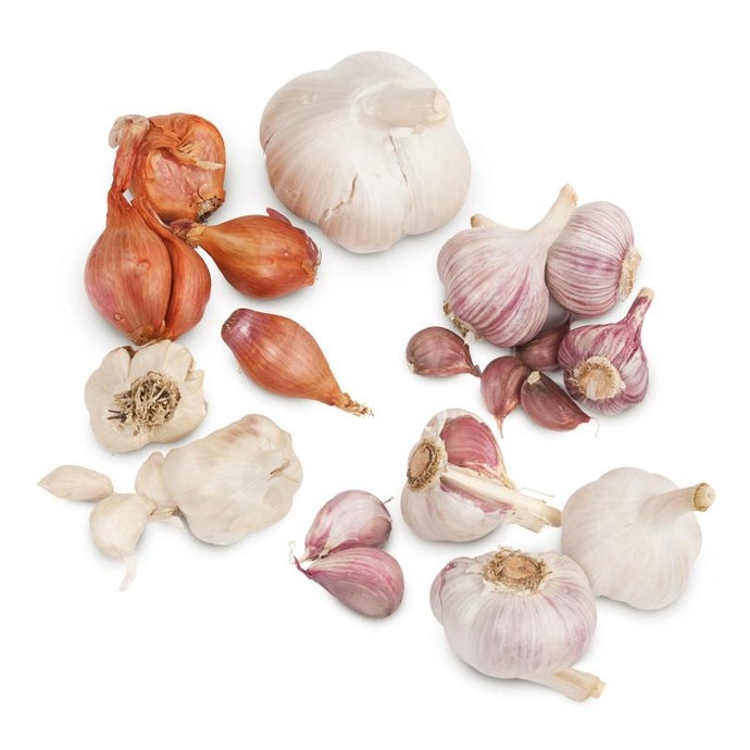 Garlic Combo Pack