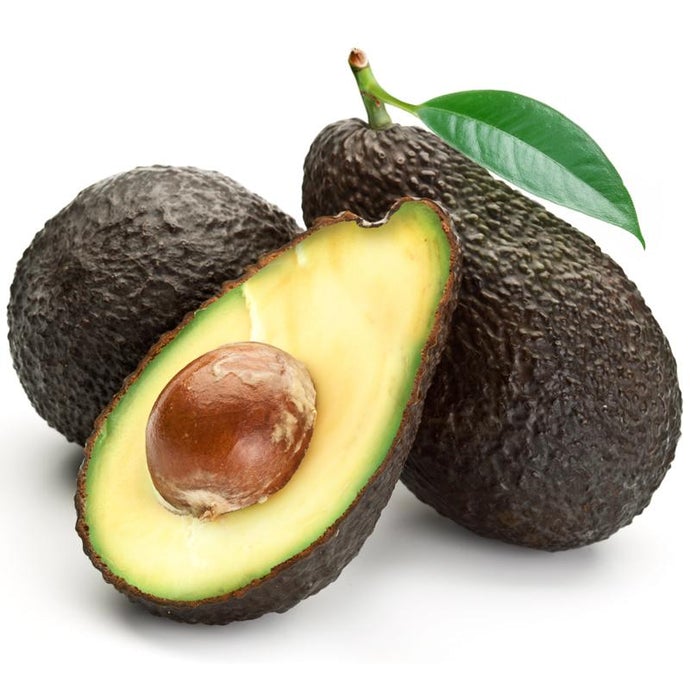 Hass Avocado Tree