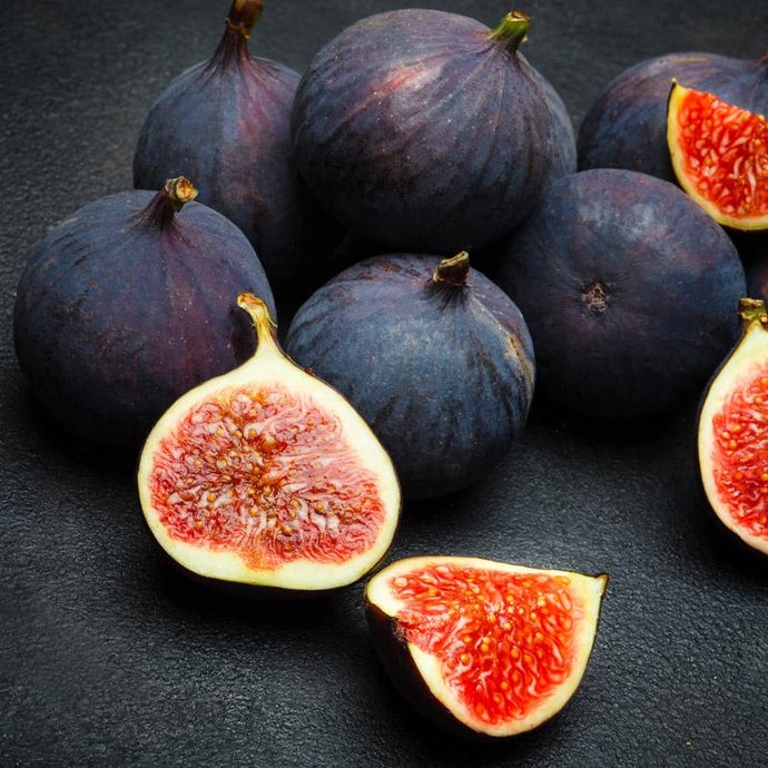 Brown Fig