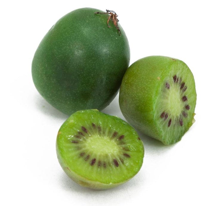 Issai Hardy Kiwi, Male/Female (Potted)