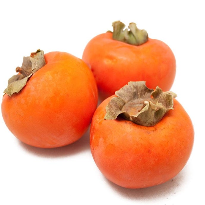 'Jiro', Fuyu Persimmon, Tree (Standard)