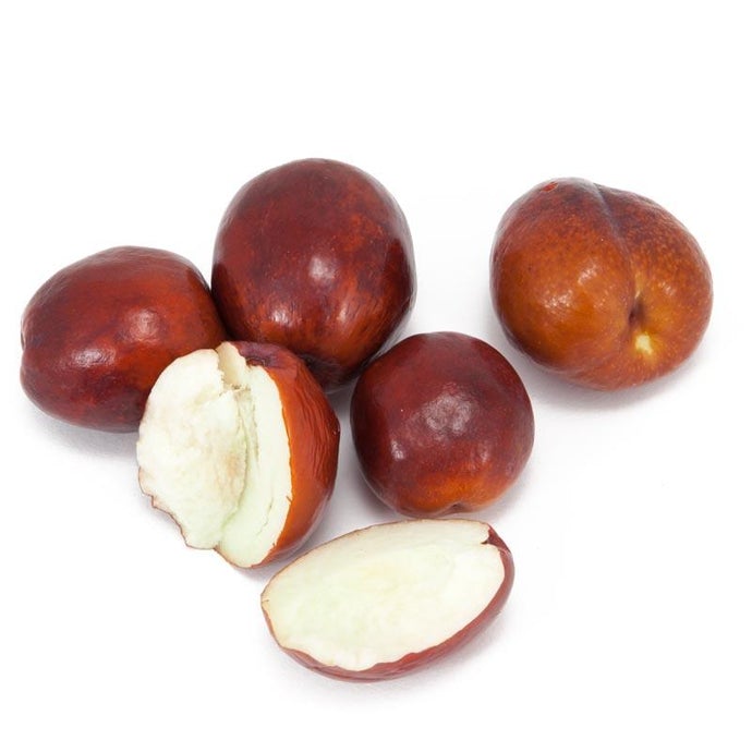 Li Jujube Tree (Standard)