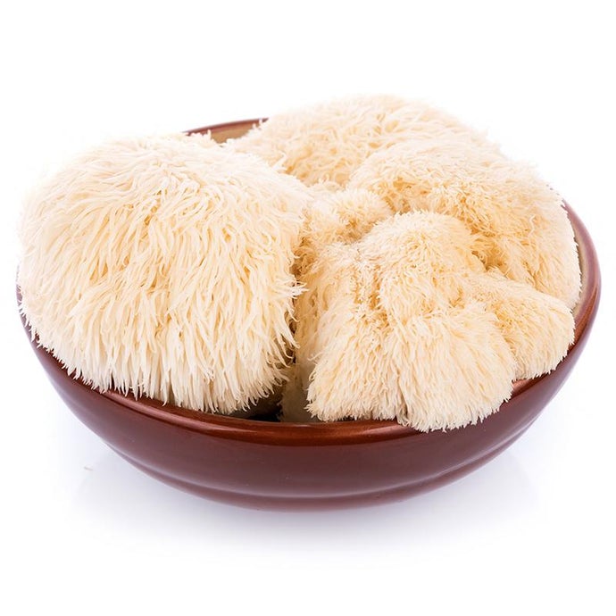 Lion's Mane Mushroom Kit