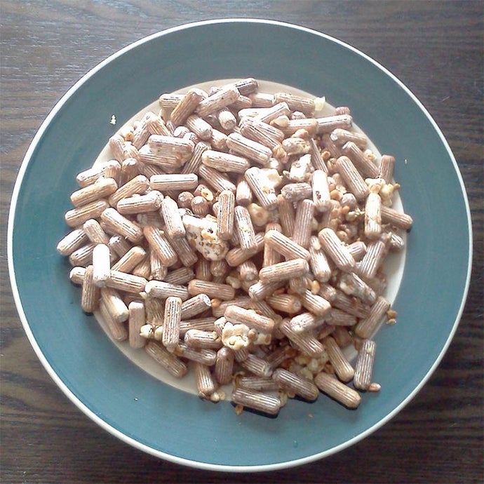 Maitake Mushroom Plug Spawn (100 Plugs/pk)