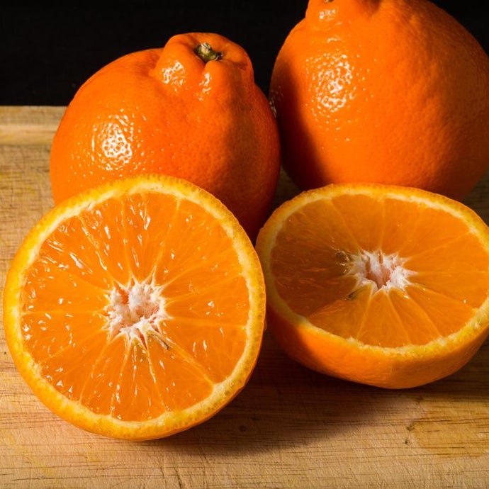 Minneola Tangelo