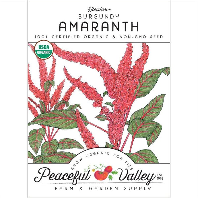 Organic Amaranth, Burgundy (pack)