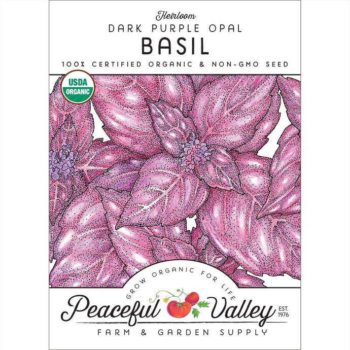  Organic  Basil  Dark  Purple  Opal  (pack) 