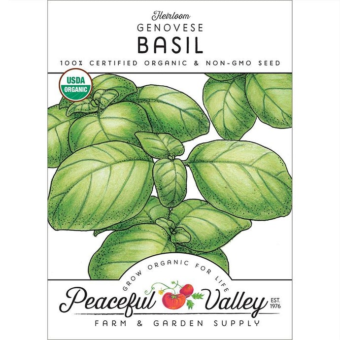  Organic  Basil  Genovese  (pack) 