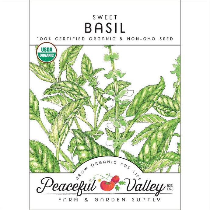  Organic  Basil  Sweet  (pack) 