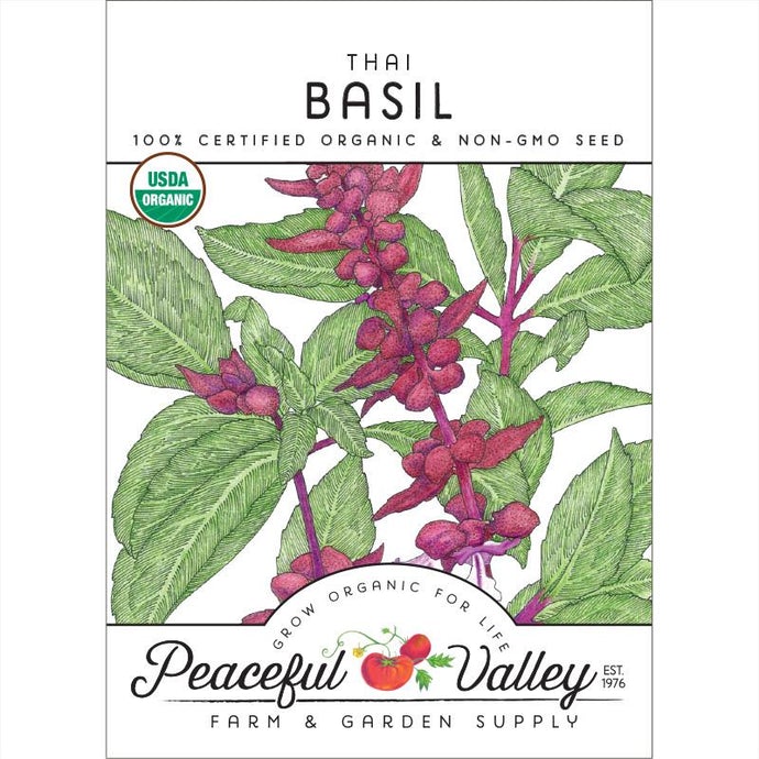  Organic  Basil  Thai  (pack) 