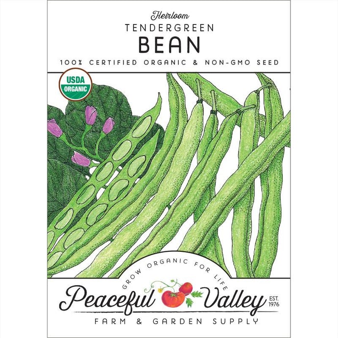  Organic  Bean  Bush  Tendergreen 