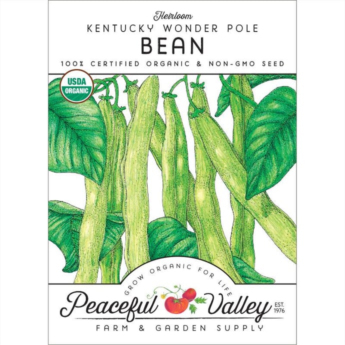  Organic  Bean  Pole  Kentucky  Wonder 