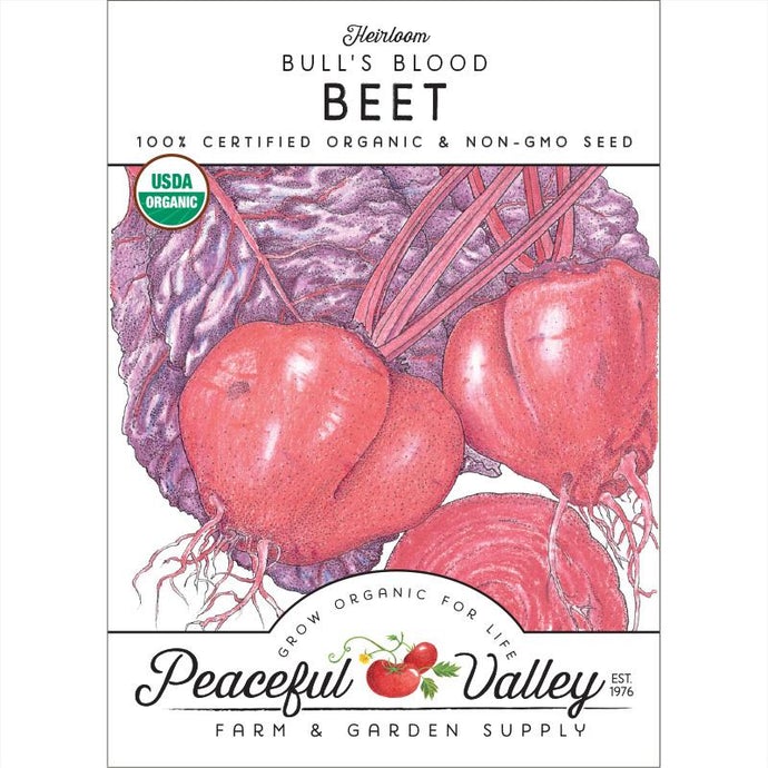  Organic  Beet  Bull's  Blood-pack 