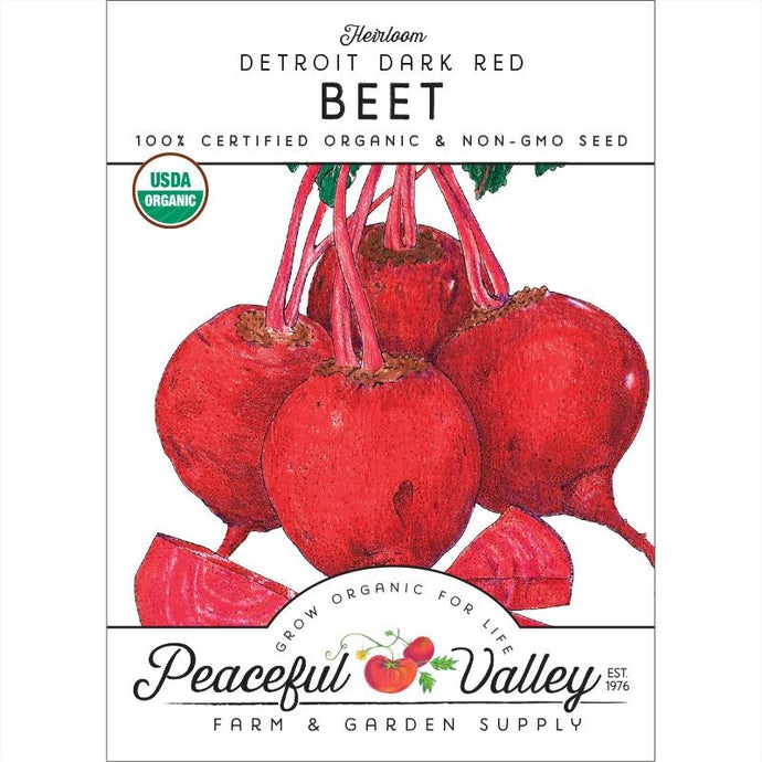  Organic  Beet  Detroit  Dark  Red 