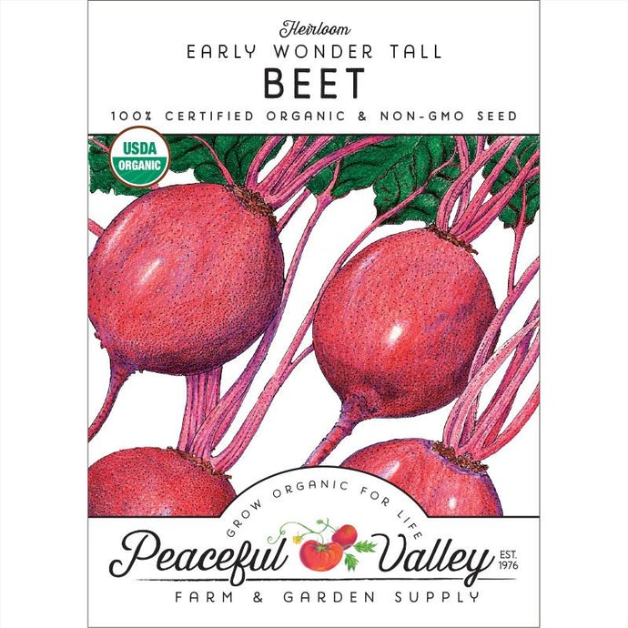  Organic  Beet  Early  Wonder  Tall 