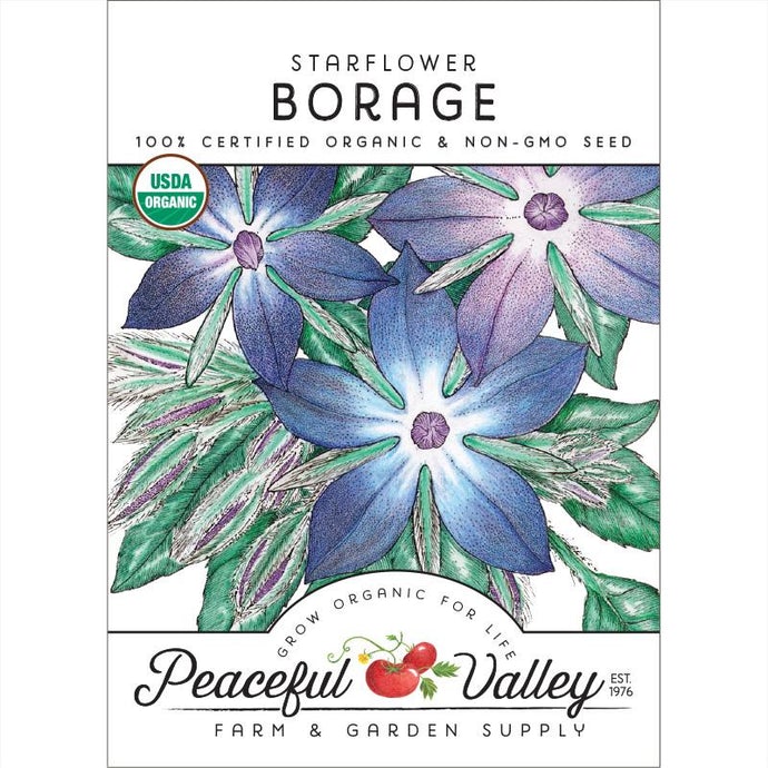 Organic Borage-pack