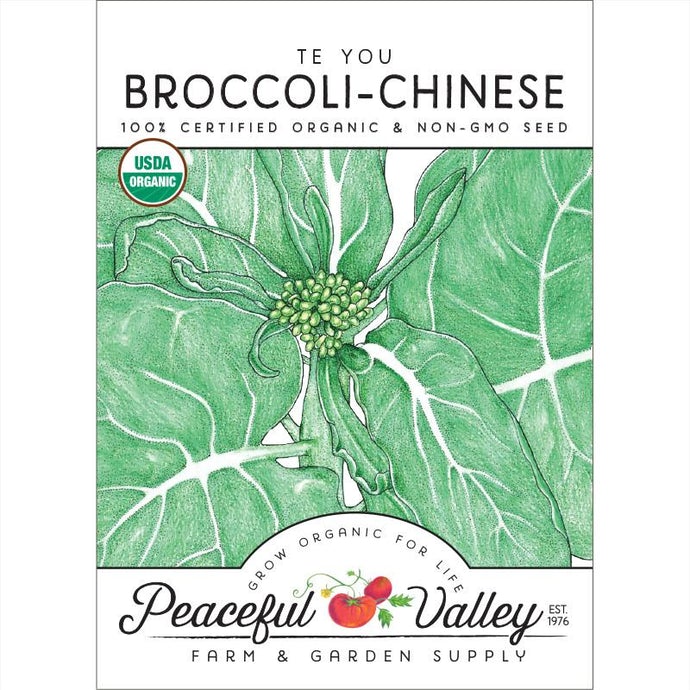 Organic Broccoli, Chinese, Te You