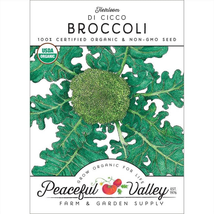  Organic  Broccoli  Di  Cicco 