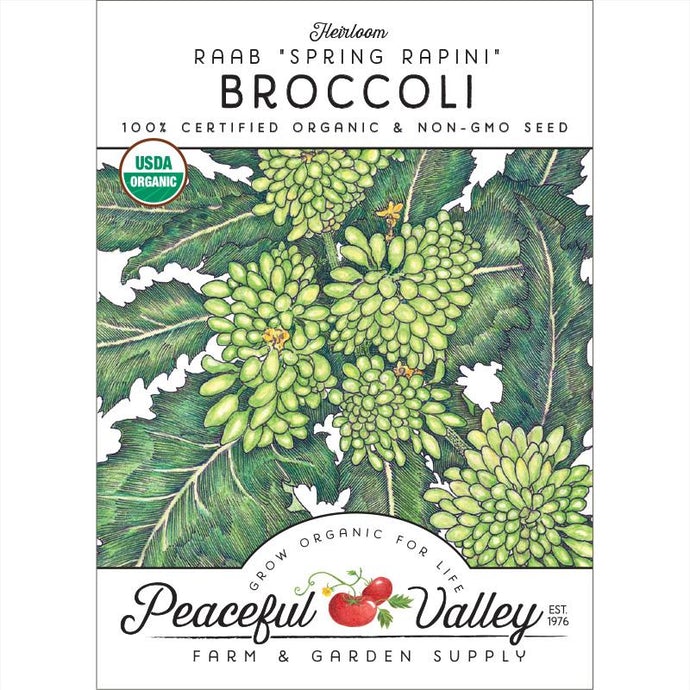 Organic Broccoli, Rapini