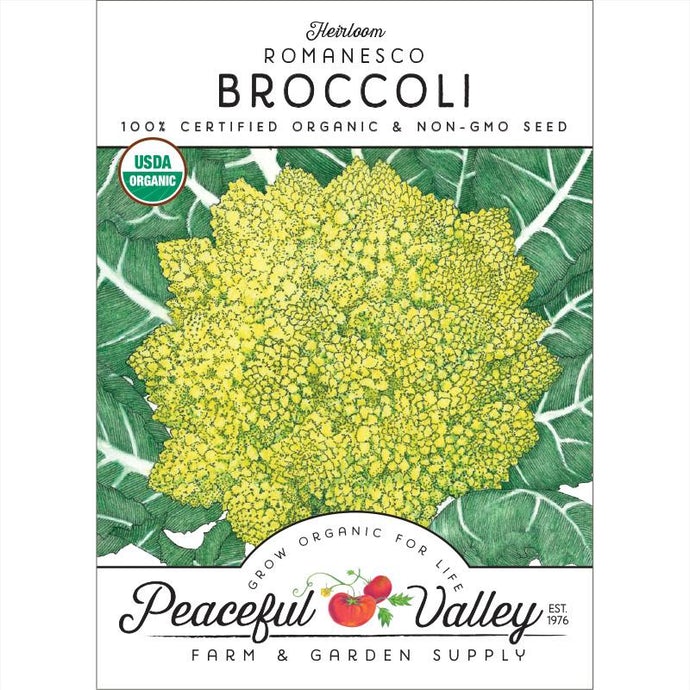 Organic Broccoli, Romanesco