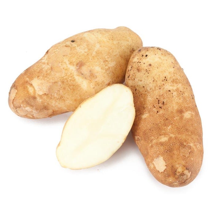 Organic Burbank Russet Seed Potatoes (lb)