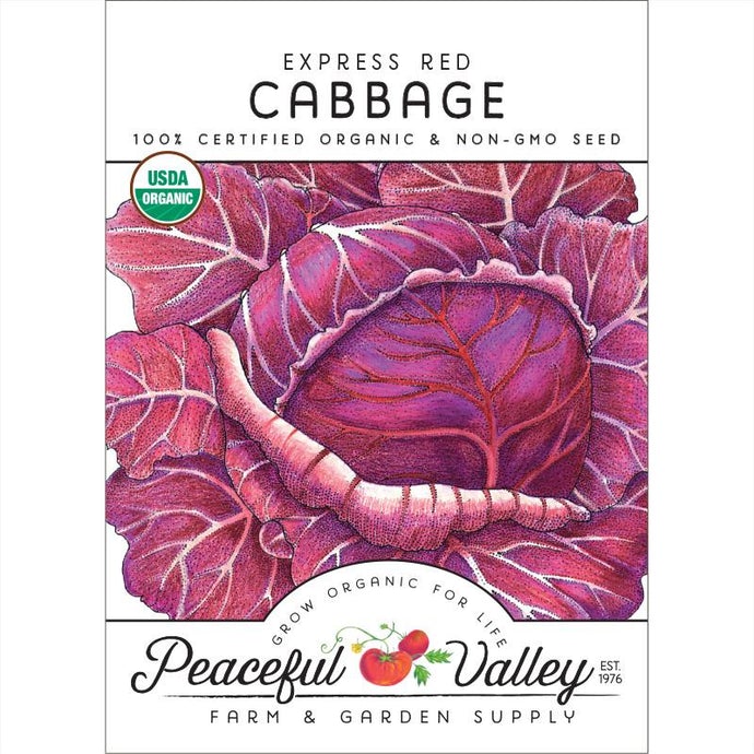  Organic  Cabbage  Express  Red 