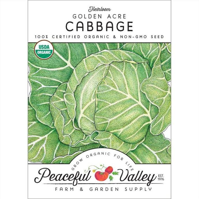 Organic Cabbage, Golden Acre