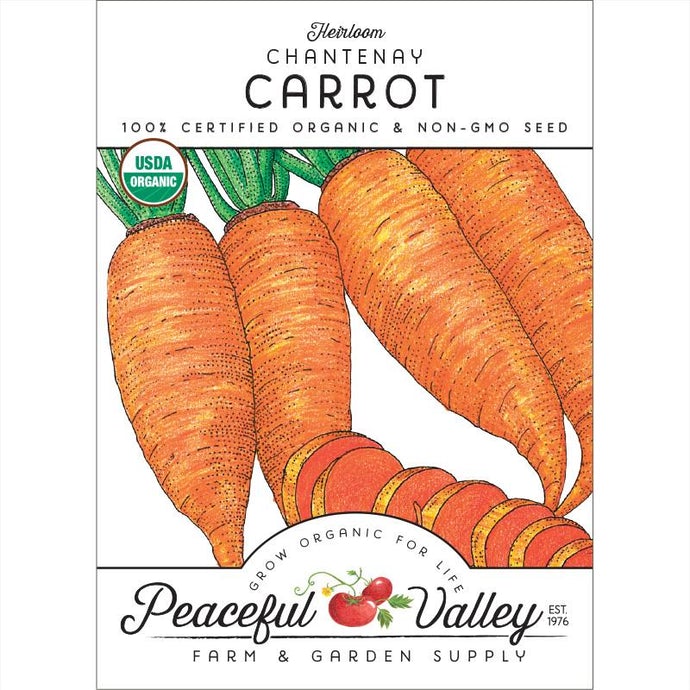  Organic  Carrot  Chantenay 