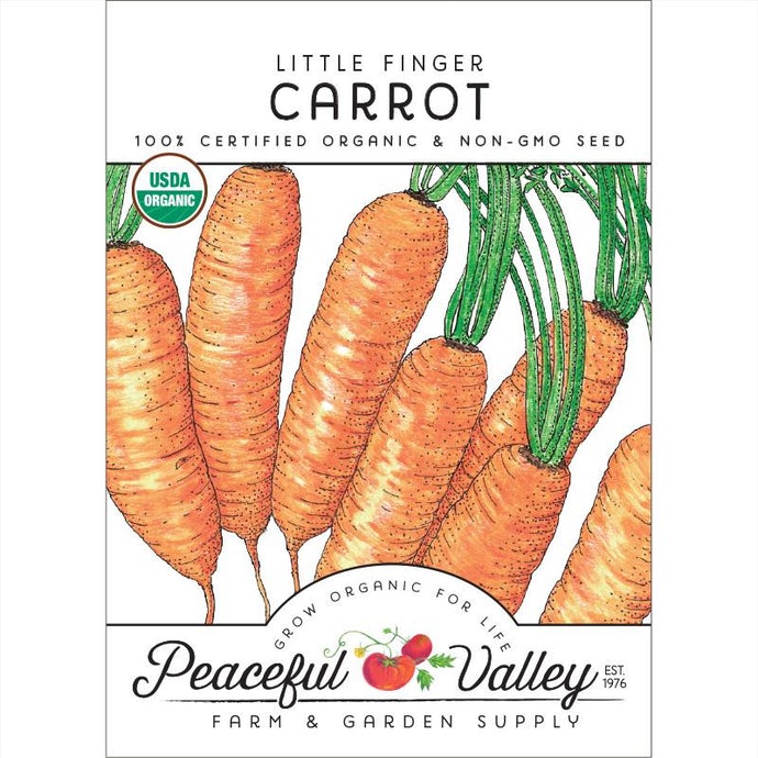  Organic  Carrot  Little  Finger 