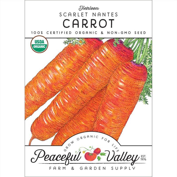  Organic  Carrot  Scarlet  Nantes 