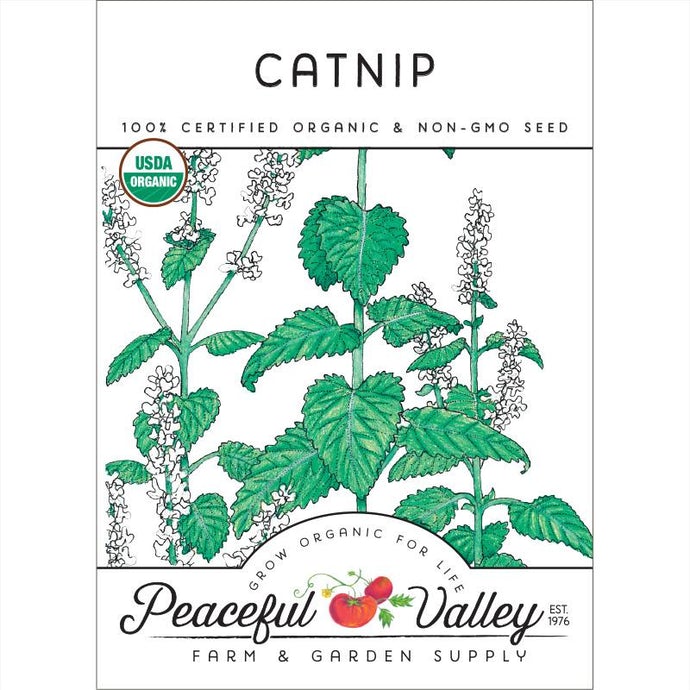 Organic Catnip