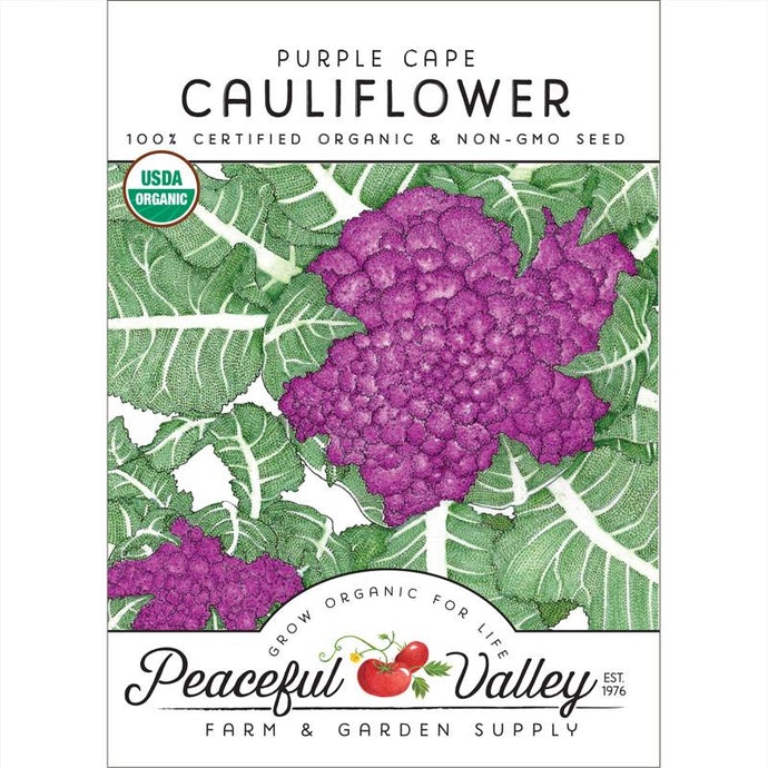 Organic Cauliflower, Purple Cape