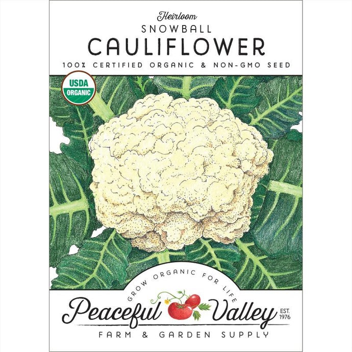  Organic  Cauliflower  Snowball 