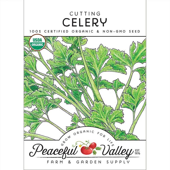  Organic  Celery  Cutting 