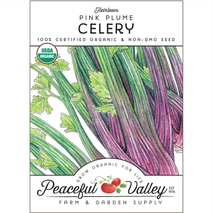  Organic  Celery  Pink  Plume 