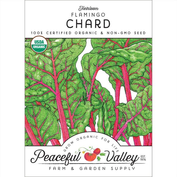 Organic Chard, Flamingo Pink