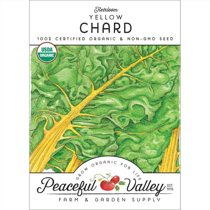 Organic Chard, Yellow