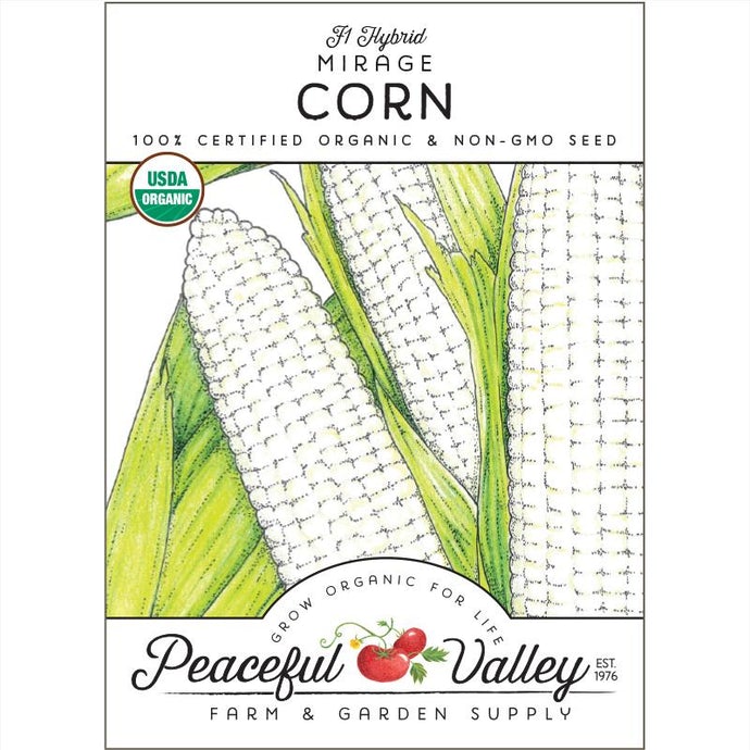  Organic  Corn  Mirage 